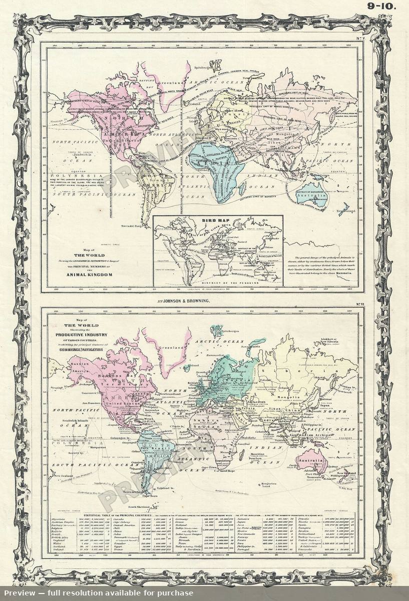 Antique map: Animal Industry, 1861
