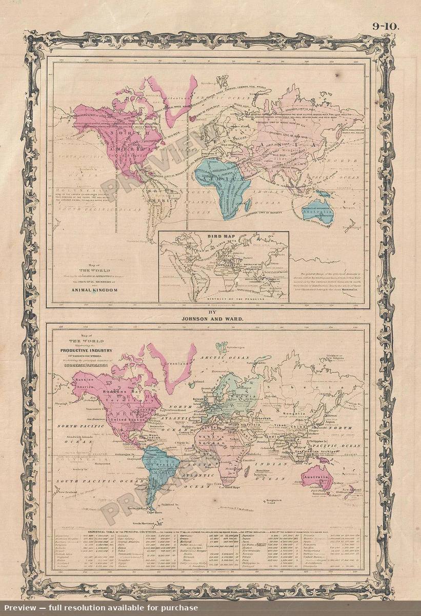 Antique map: Animal Industry 1, 1861, 1861