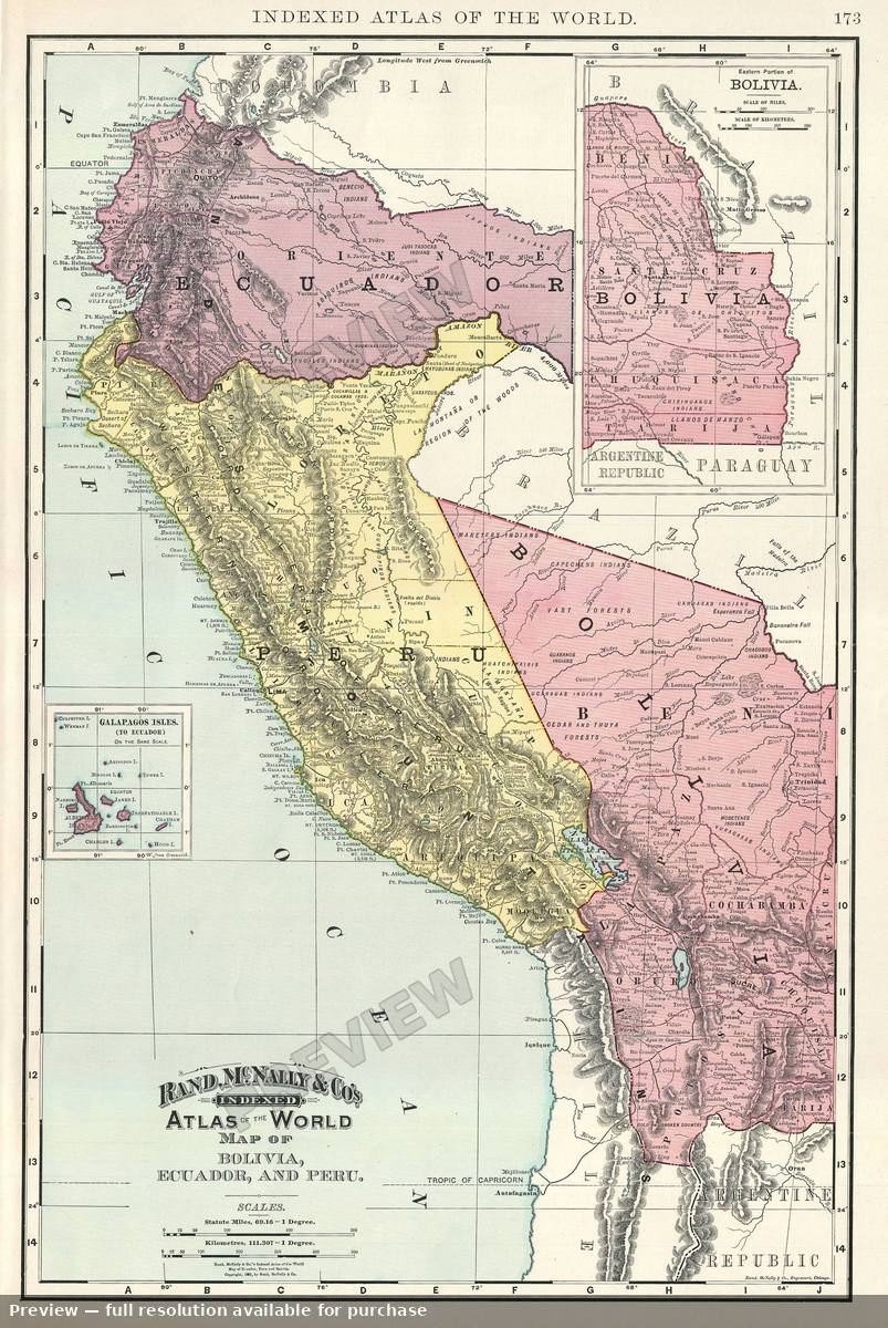 Antique map: Bolivia Ecuador, 1895