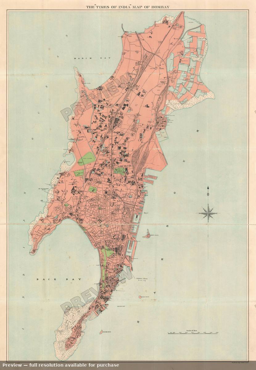 Antique map: Bombay, 1895