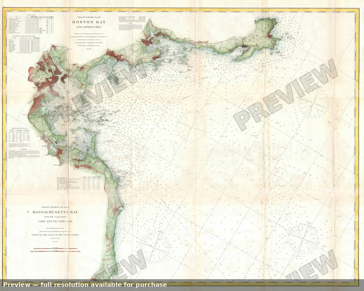 Antique map: Boston Bay, 1866