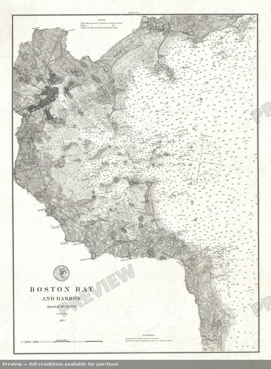Antique map: Boston Bayand Harbor, 1883