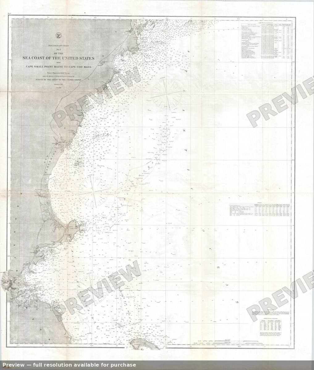 Antique map: Boston Maine, 1865