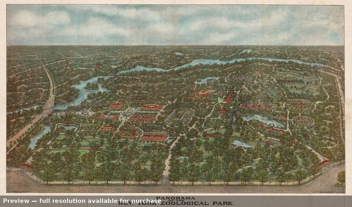 Antique map: Bronx Zoo New York City, 1913