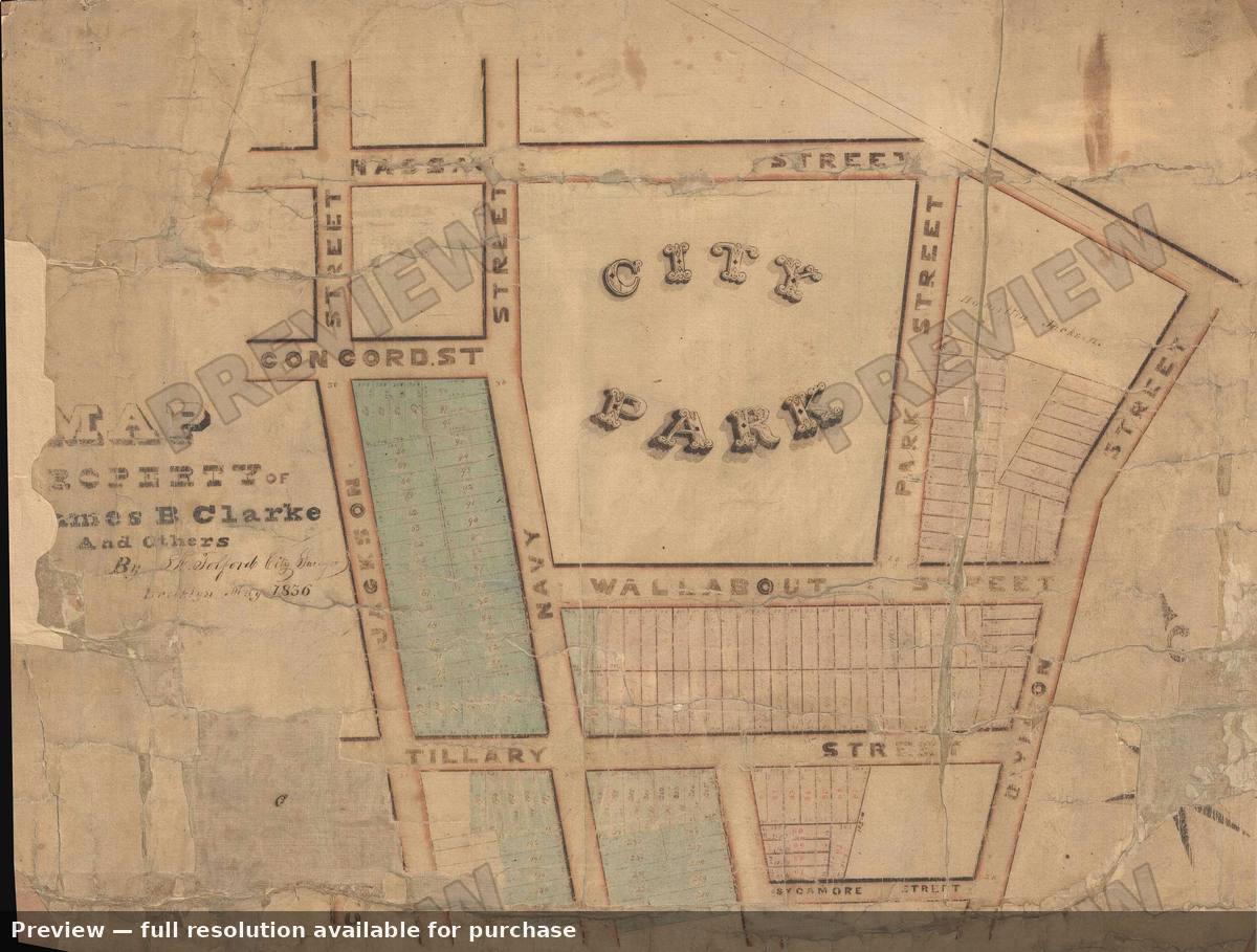 Antique map: Brooklyn Navy Street Survey, 1836, 1836
