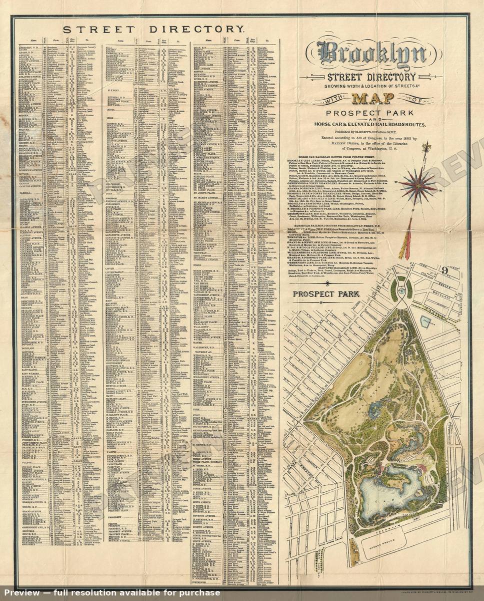 Antique map: Brooklyn Street Directory, 1880