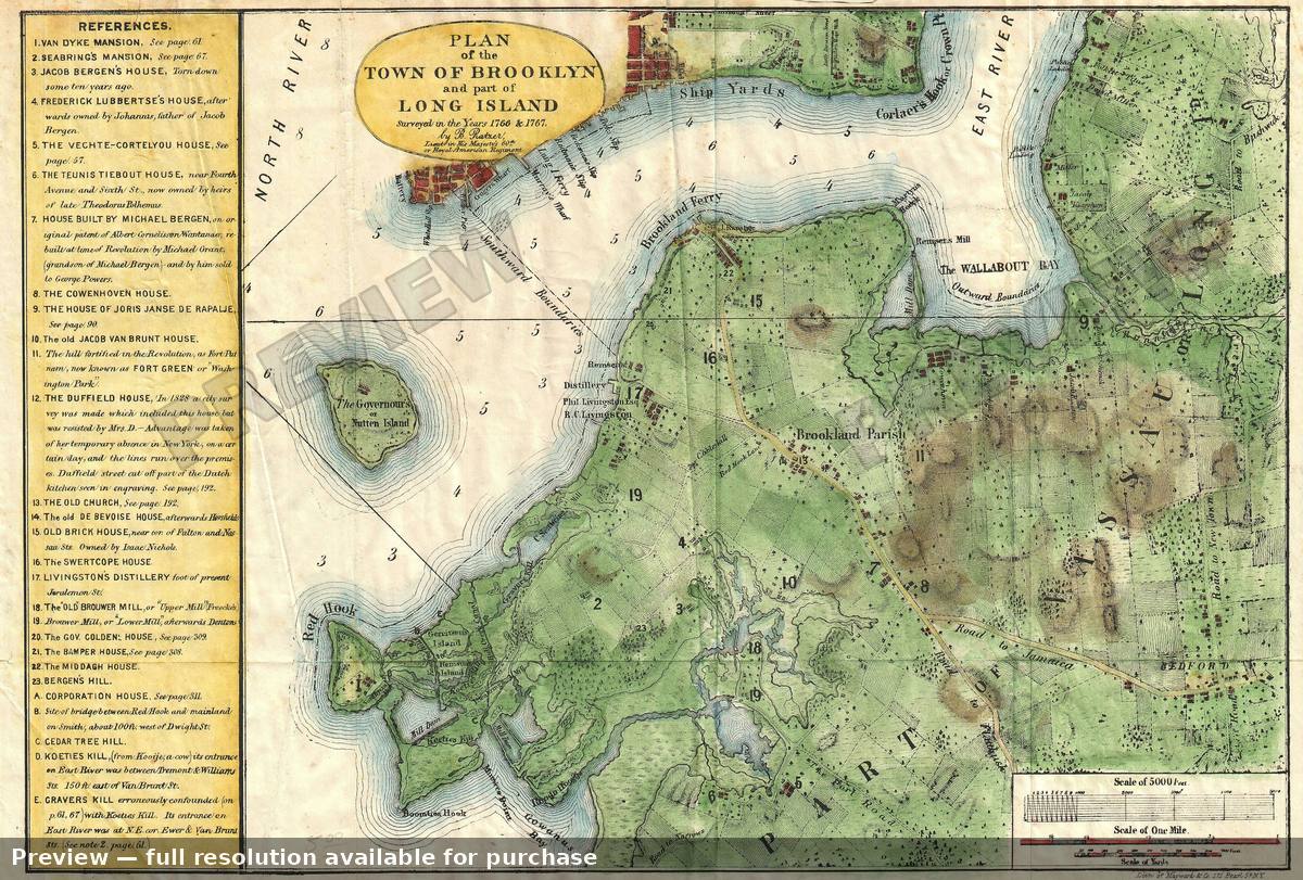 Antique map: Brooklyn Twn, 1867