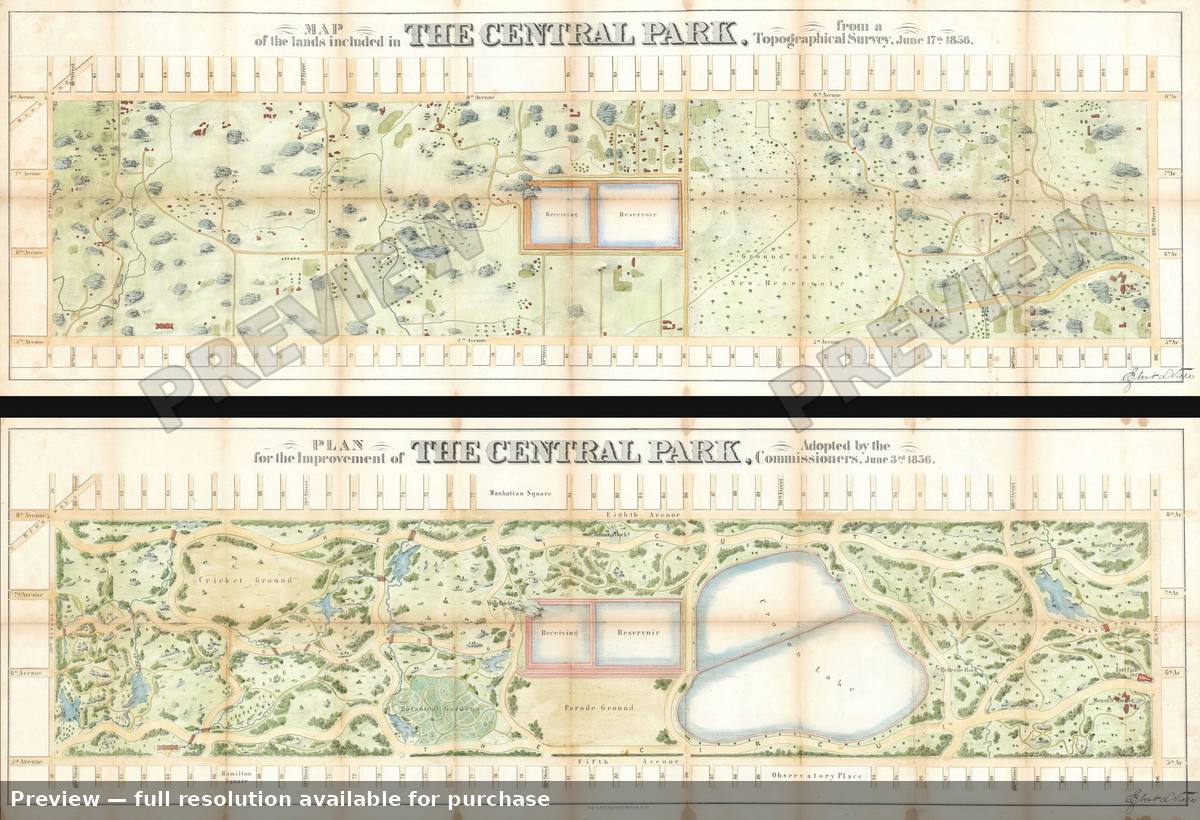 Antique map: Central Park, 1856