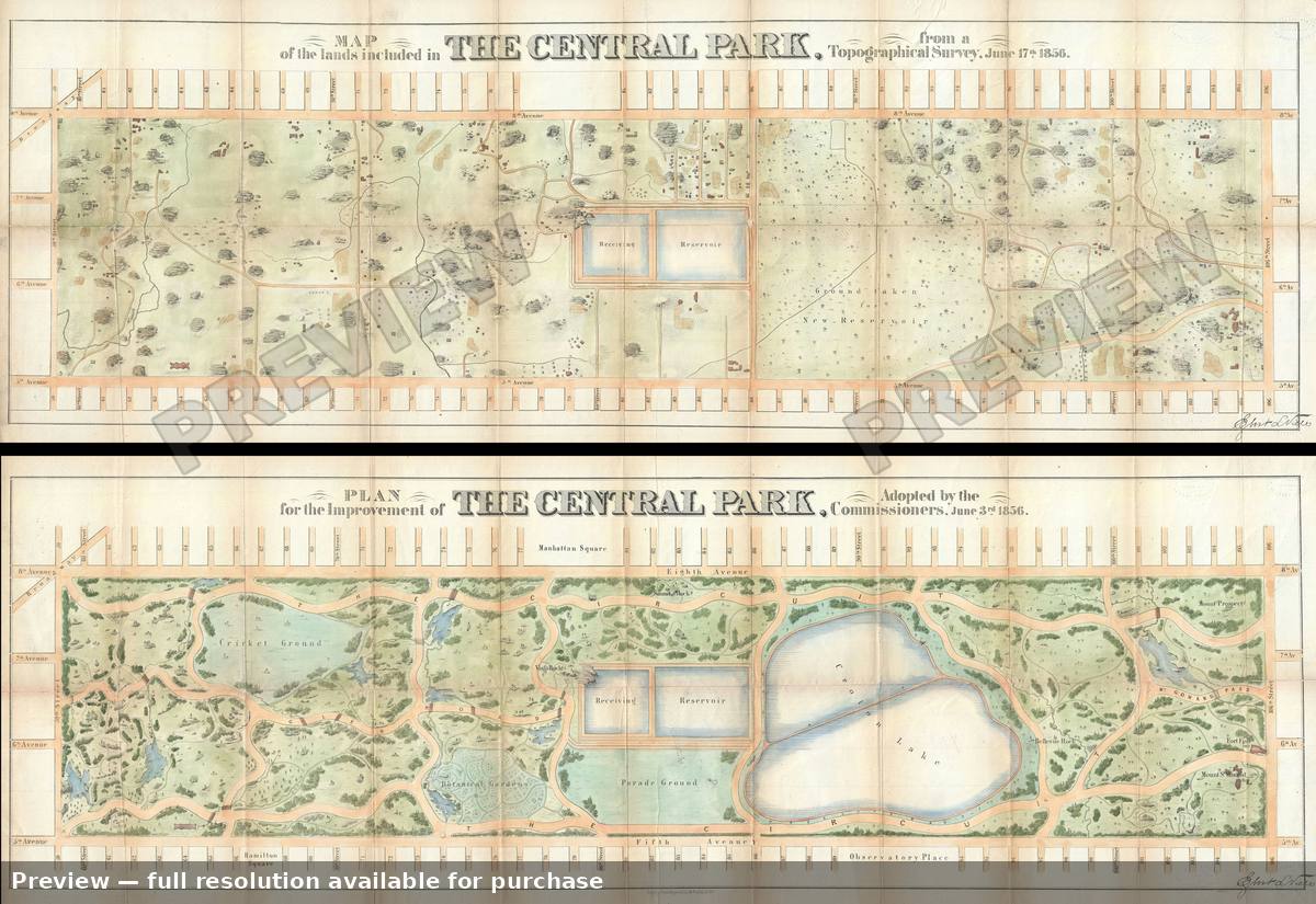 Antique map: Central Park, 1856