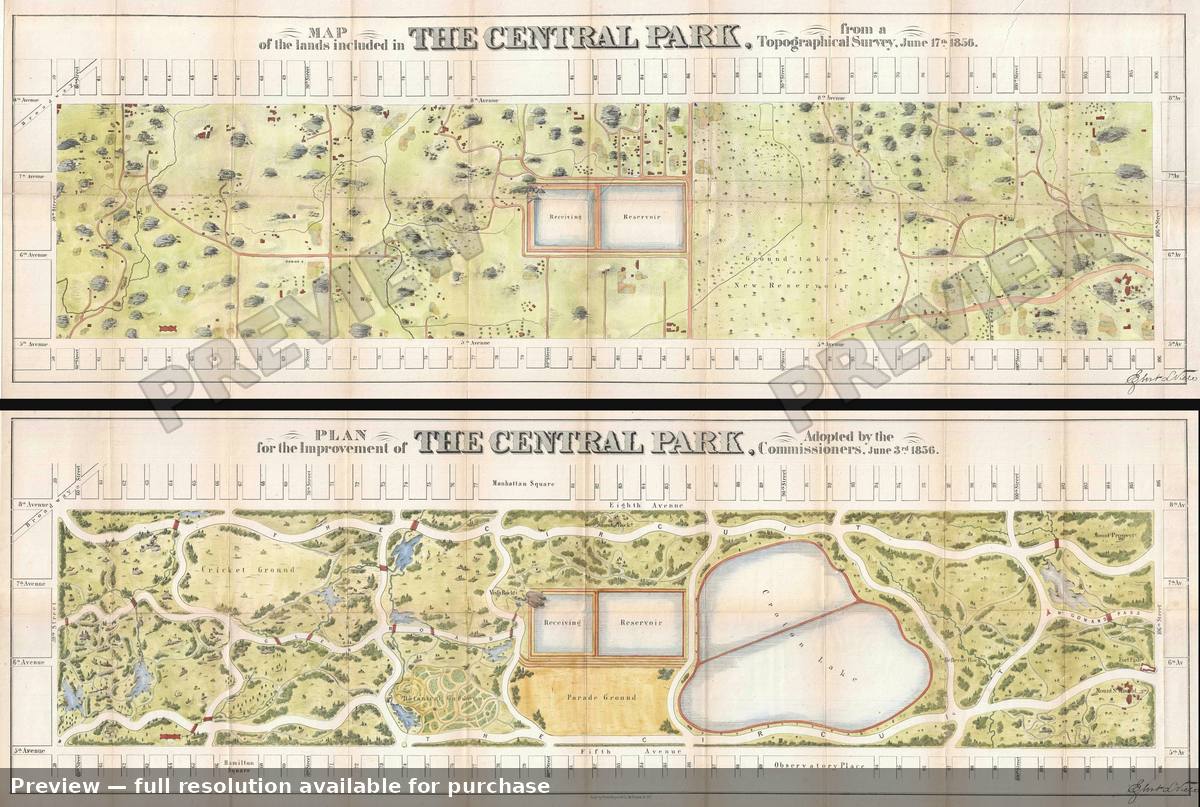 Antique map: Central Park 3, 1856, 1856