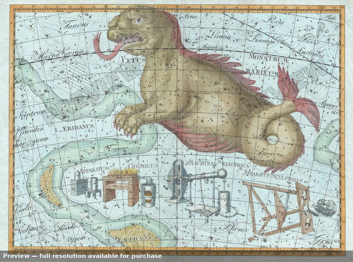 Antique map: Cetus Monstrum Marinum, 1801