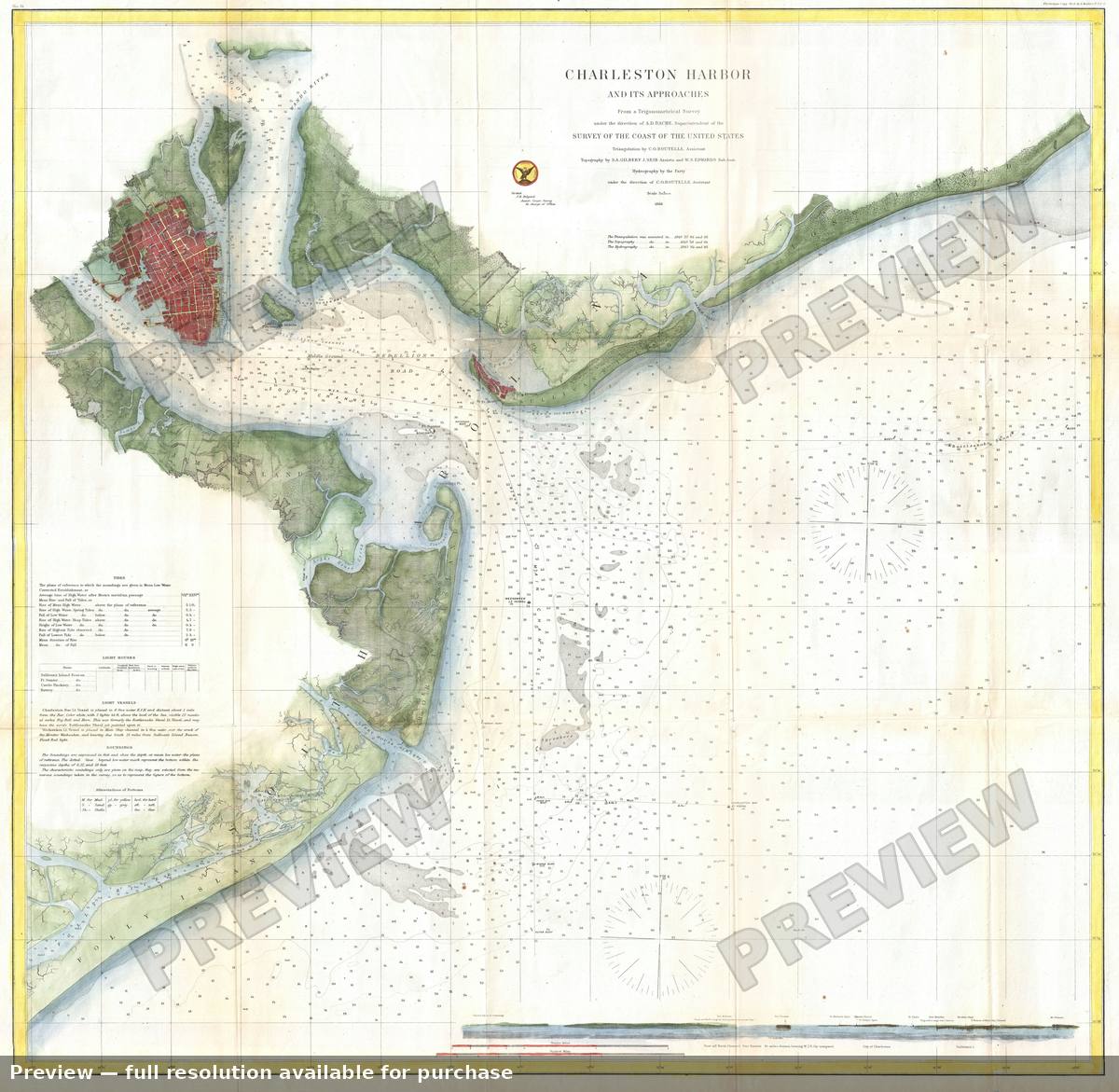 Antique map: Charleston, 1866