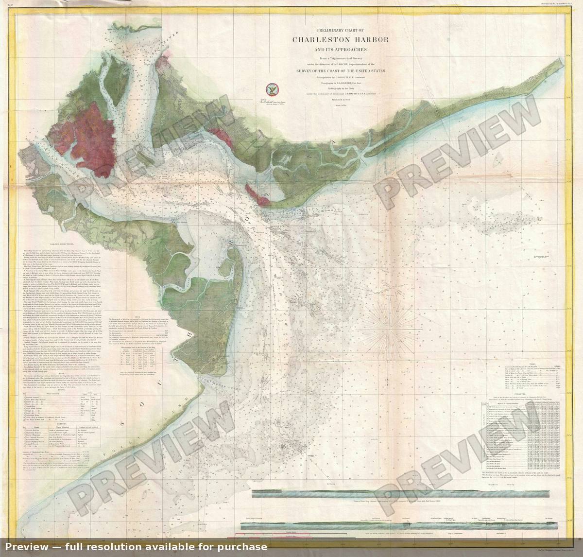 Antique map: Charleston Harbor, 1856