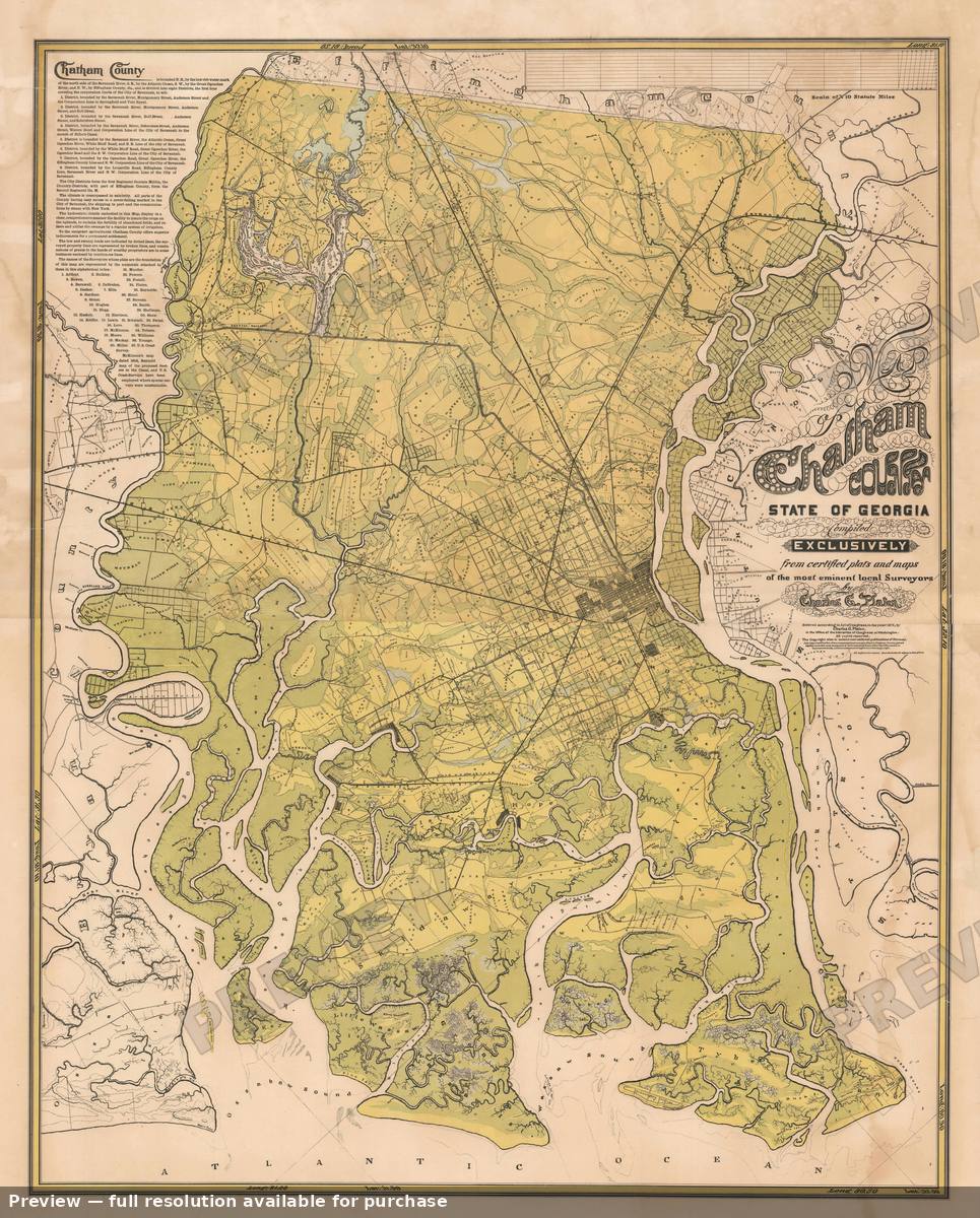 Antique map: Chatham Georgia, 1875, 1875