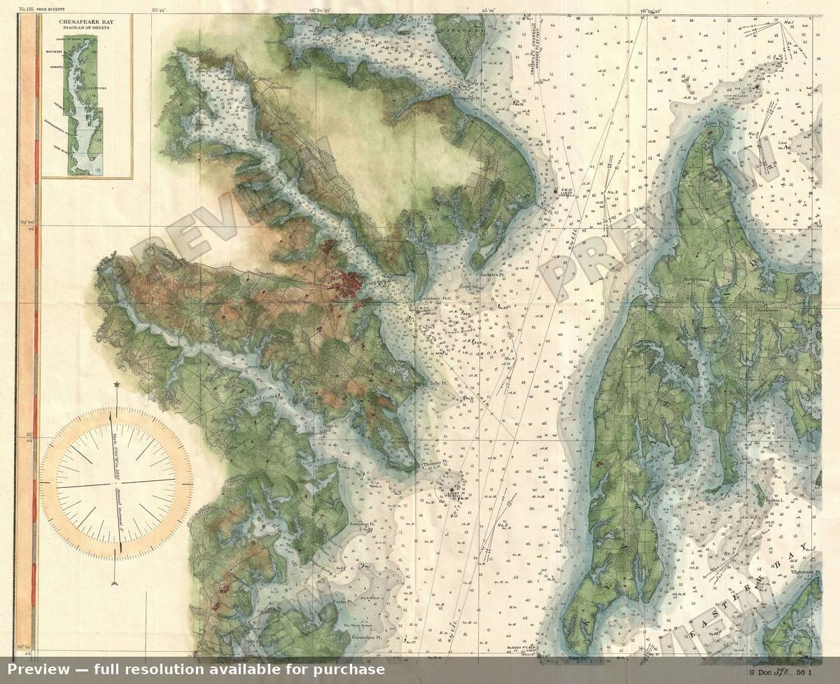 Antique map: Chesapeake Bay Annapolis, 1895, 1895