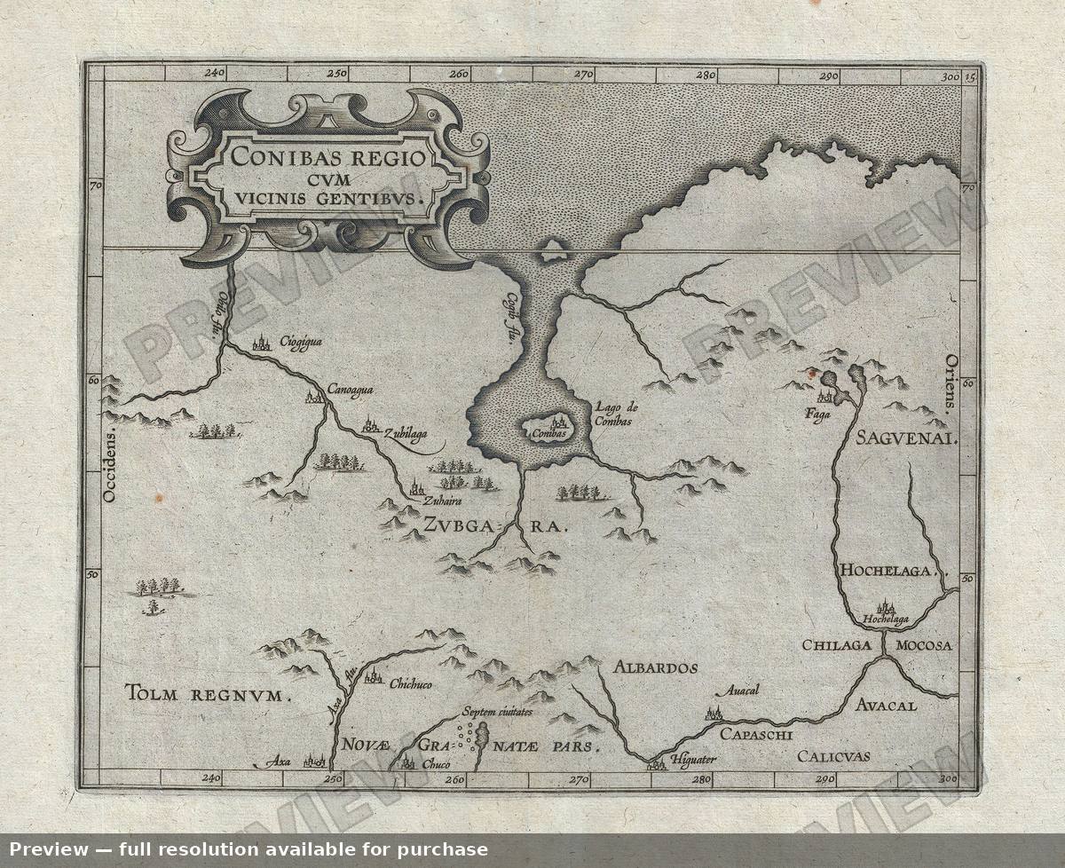 Antique map: Conibas Regio, 1597