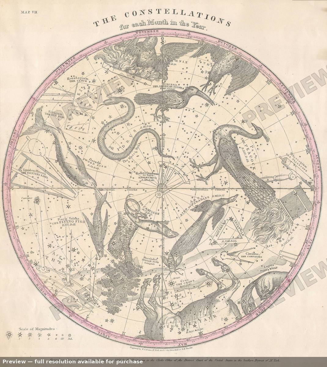 Antique map: Const South, 1856