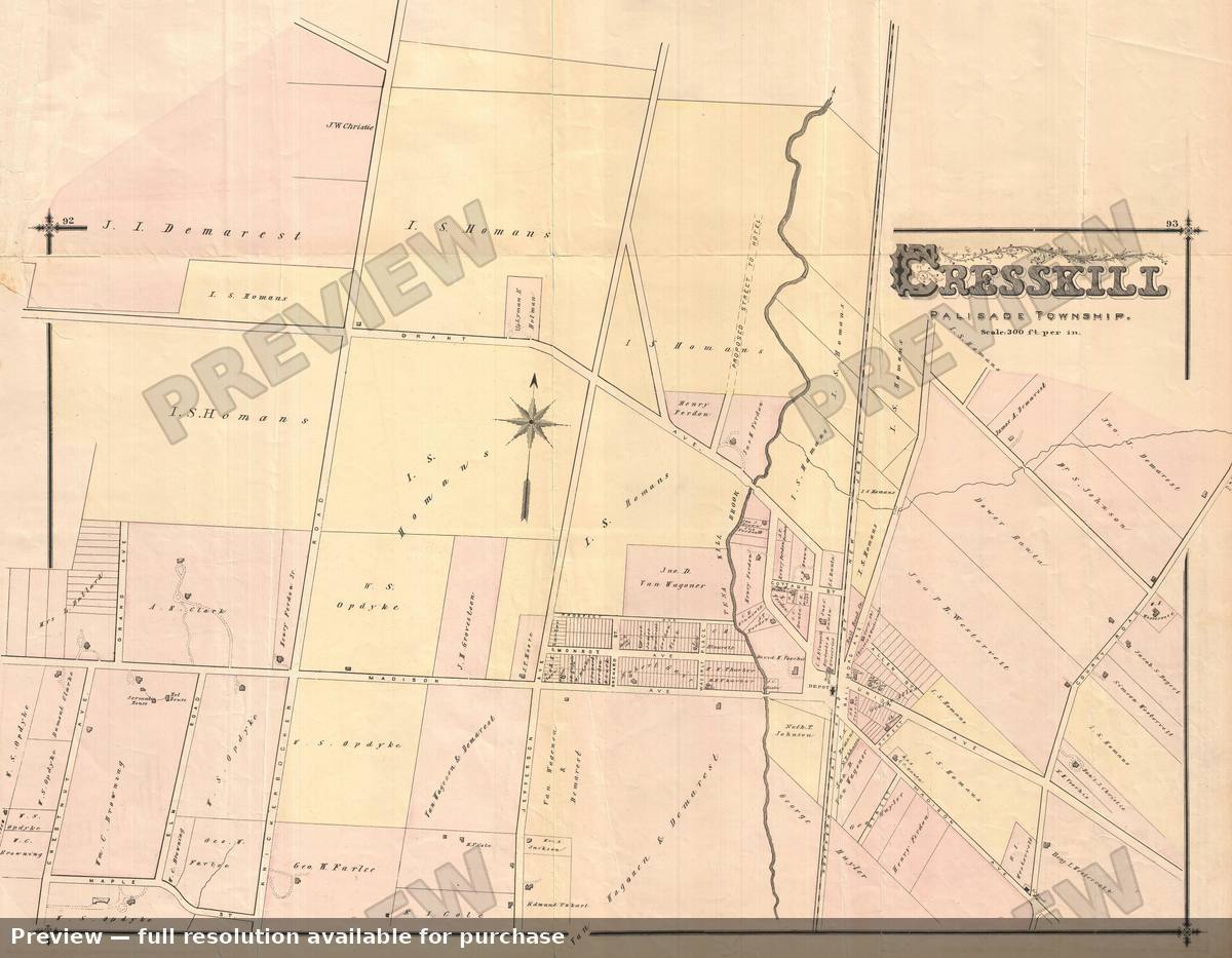 Antique map: Cresskill, 1876