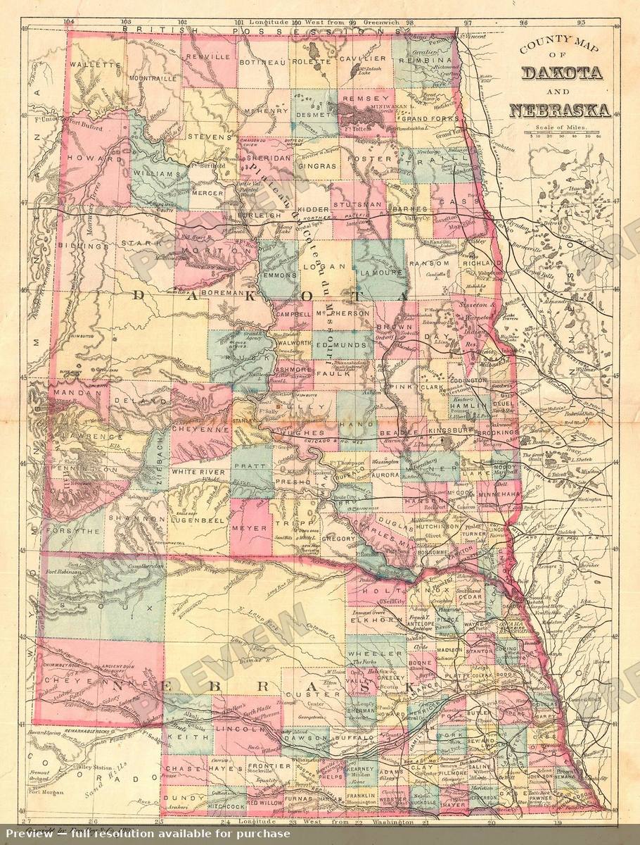 Antique map: Dakota Nebraska, 1881