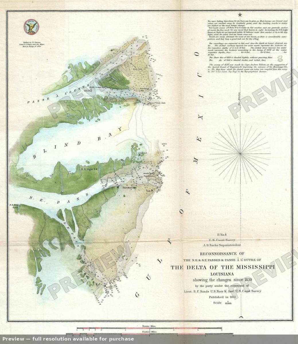 Antique map: Delta Mississippi, 1851, 1851