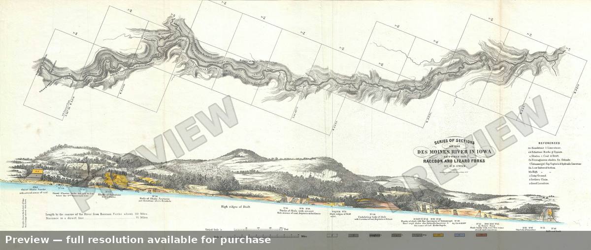 Antique map: Des Moines Raccoon Lizard, 1852