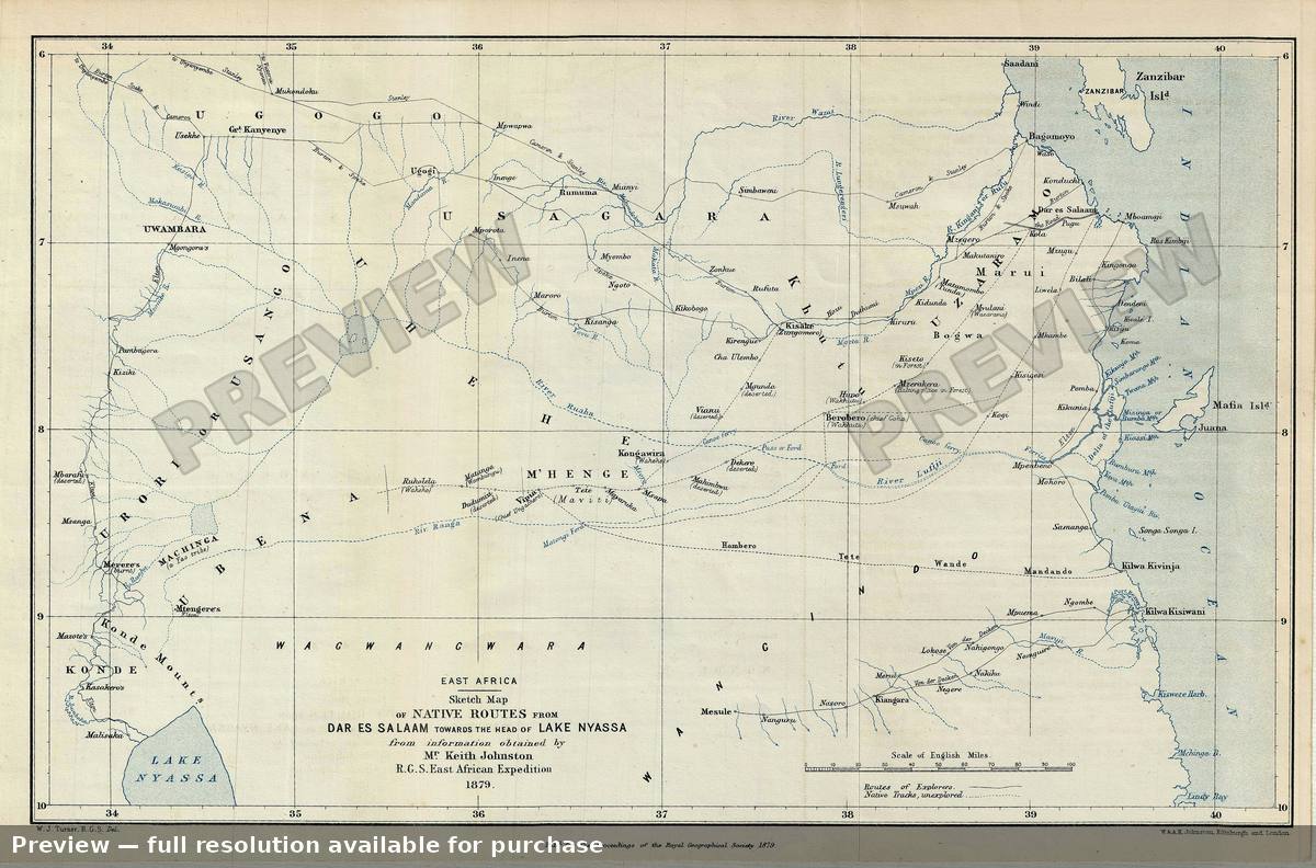 Antique map: East Africa, 1879