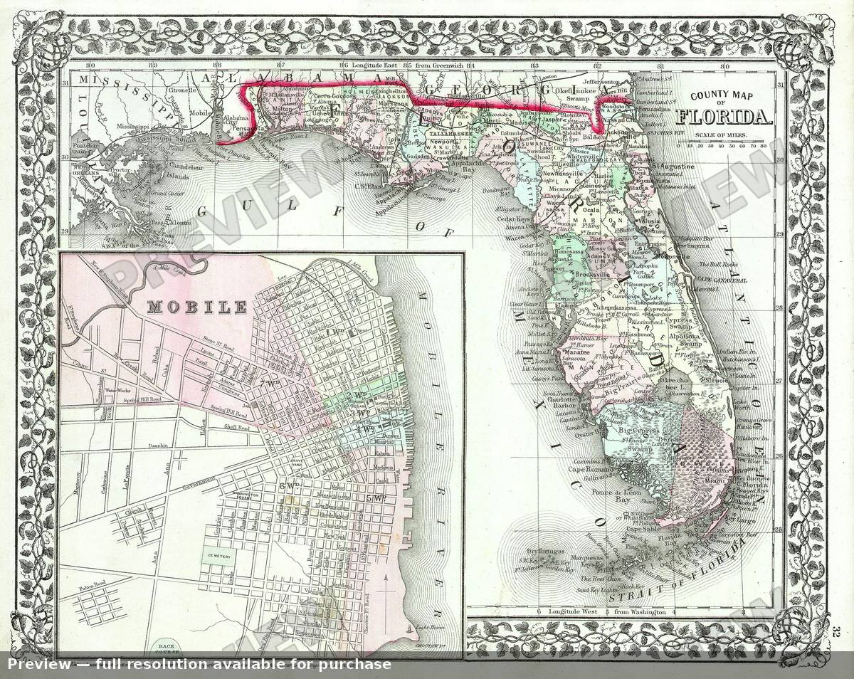 Antique map: FL, 1874, 1874