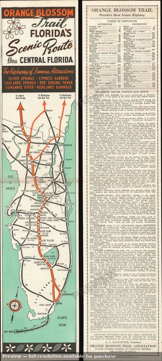 Antique map: Florida Orange Blossom, 1950