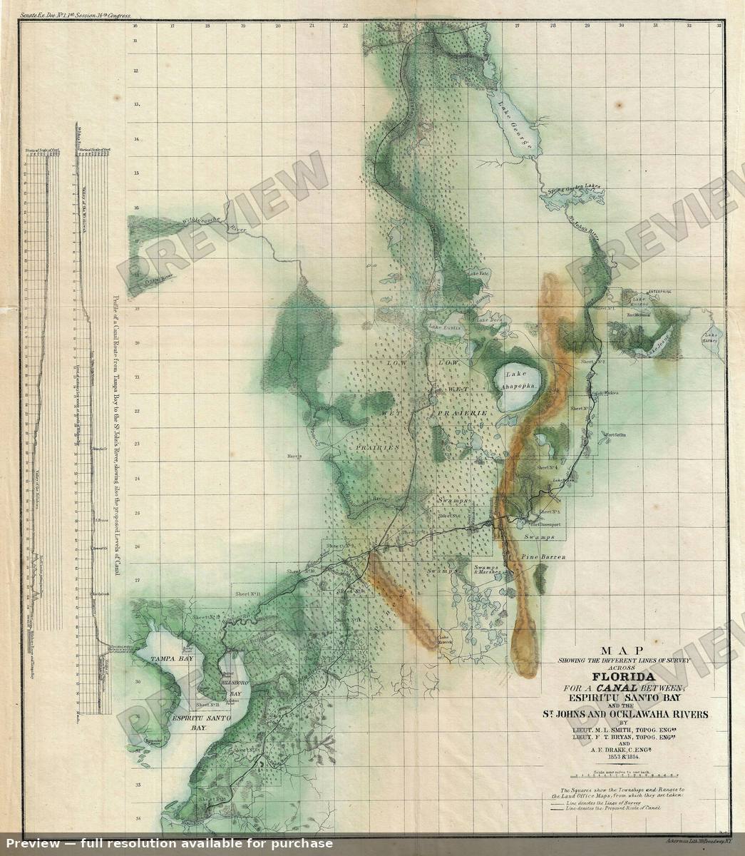 Antique map: Florida Tampa, 1854
