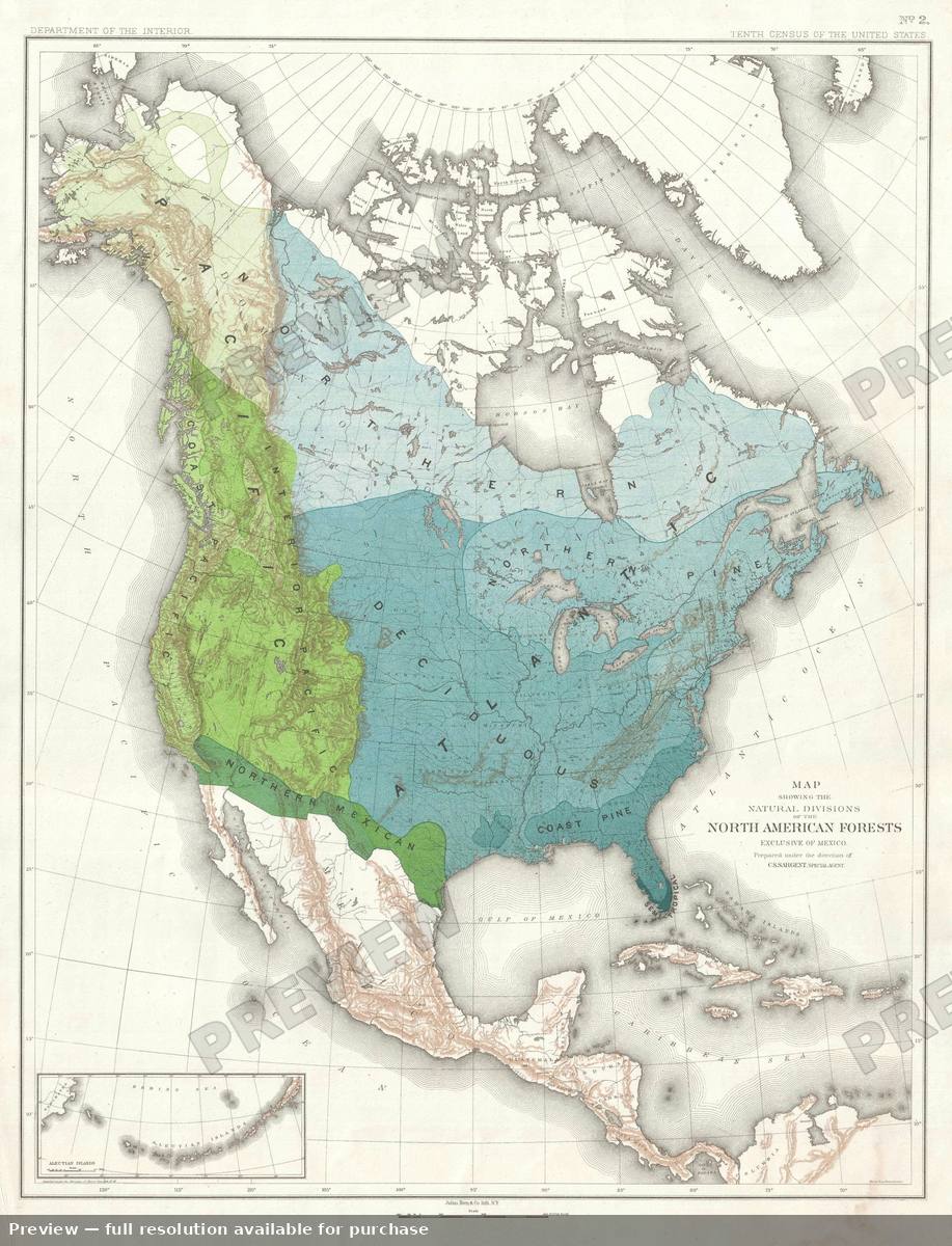 Antique map: Forests, 1884, 1884