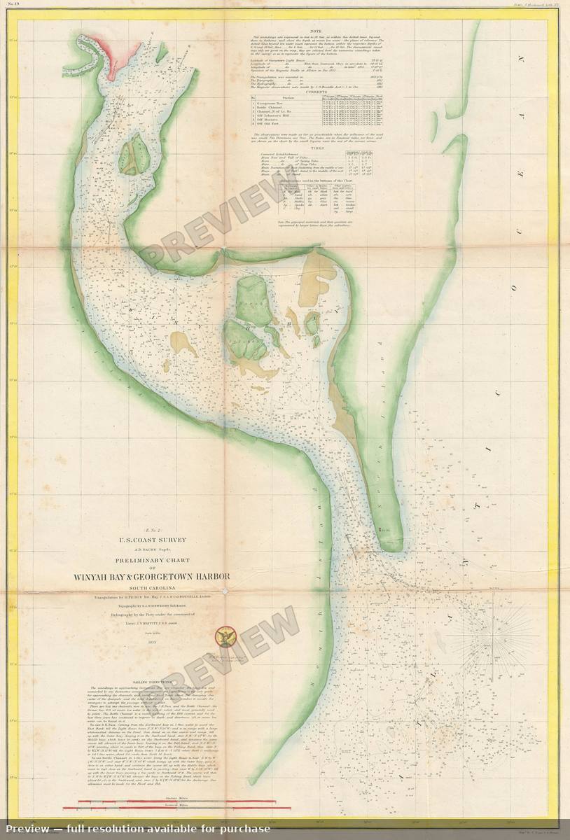 Antique map: Georgetown Winyah, 1855, 1855