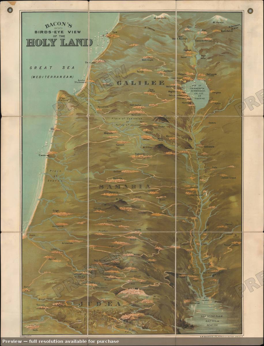 Antique map: Holy Land View, 1890