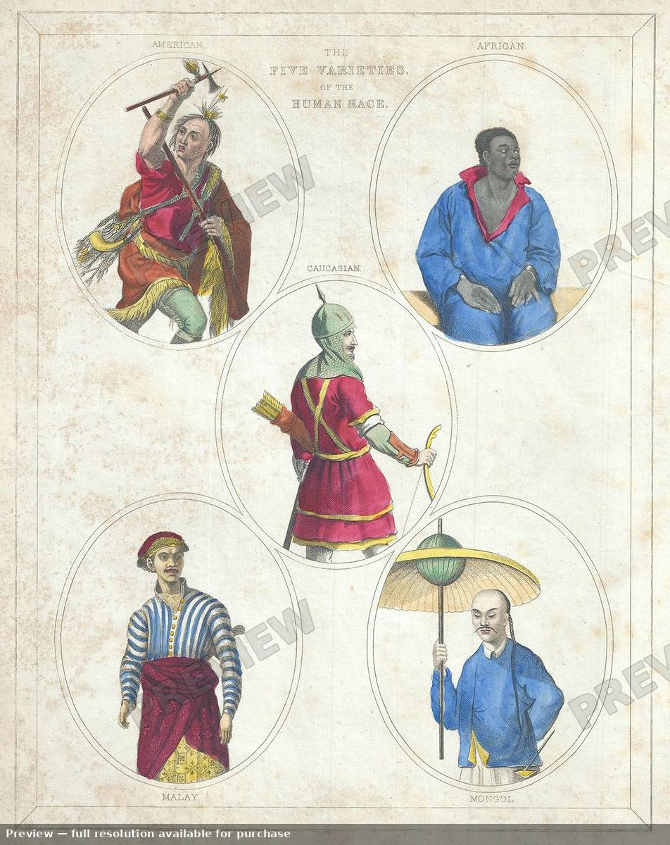 Antique map: Human Race, 1835, 1835