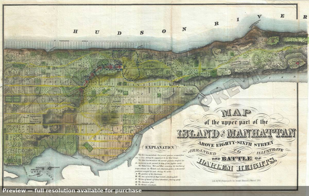 Antique map: Island Manhattan, 1868