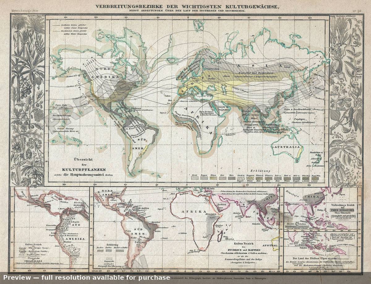 Antique map: Kulturgewachse, 1852