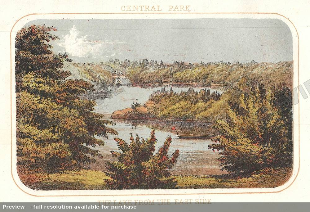 Antique map: Lake From East Side, 1868
