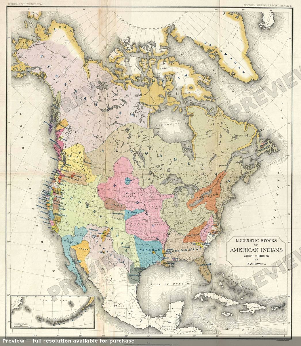 Antique map: Linguistic Stocks, 1891, 1891