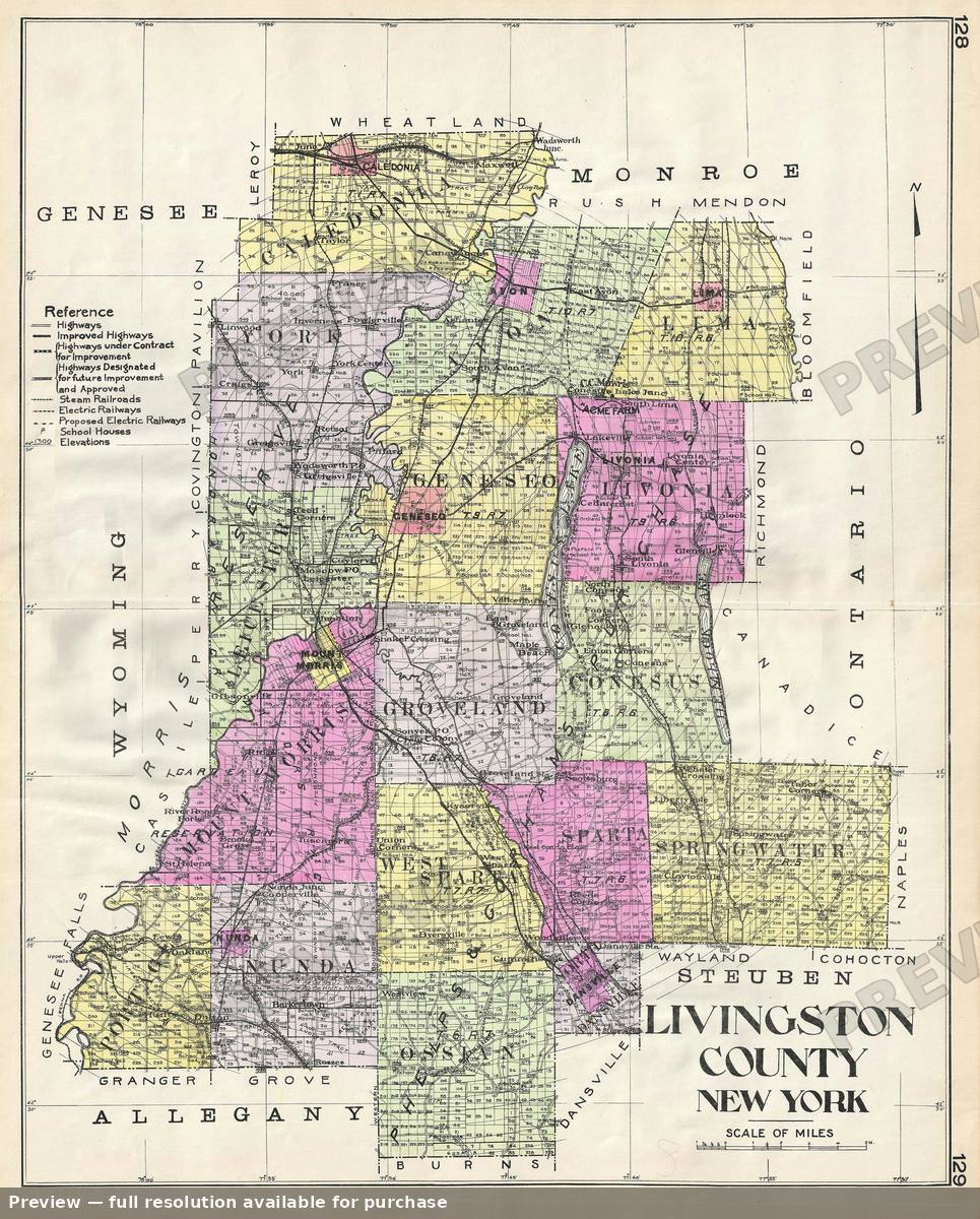 Antique map: Livingston County NY, 1912, 1912