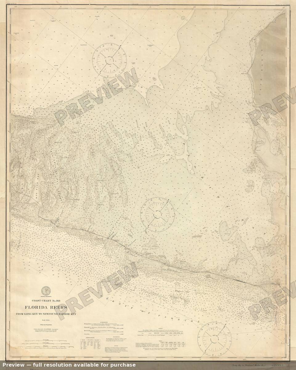 Antique map: Long Key Newfound Harbor Florida, 1895, 1895