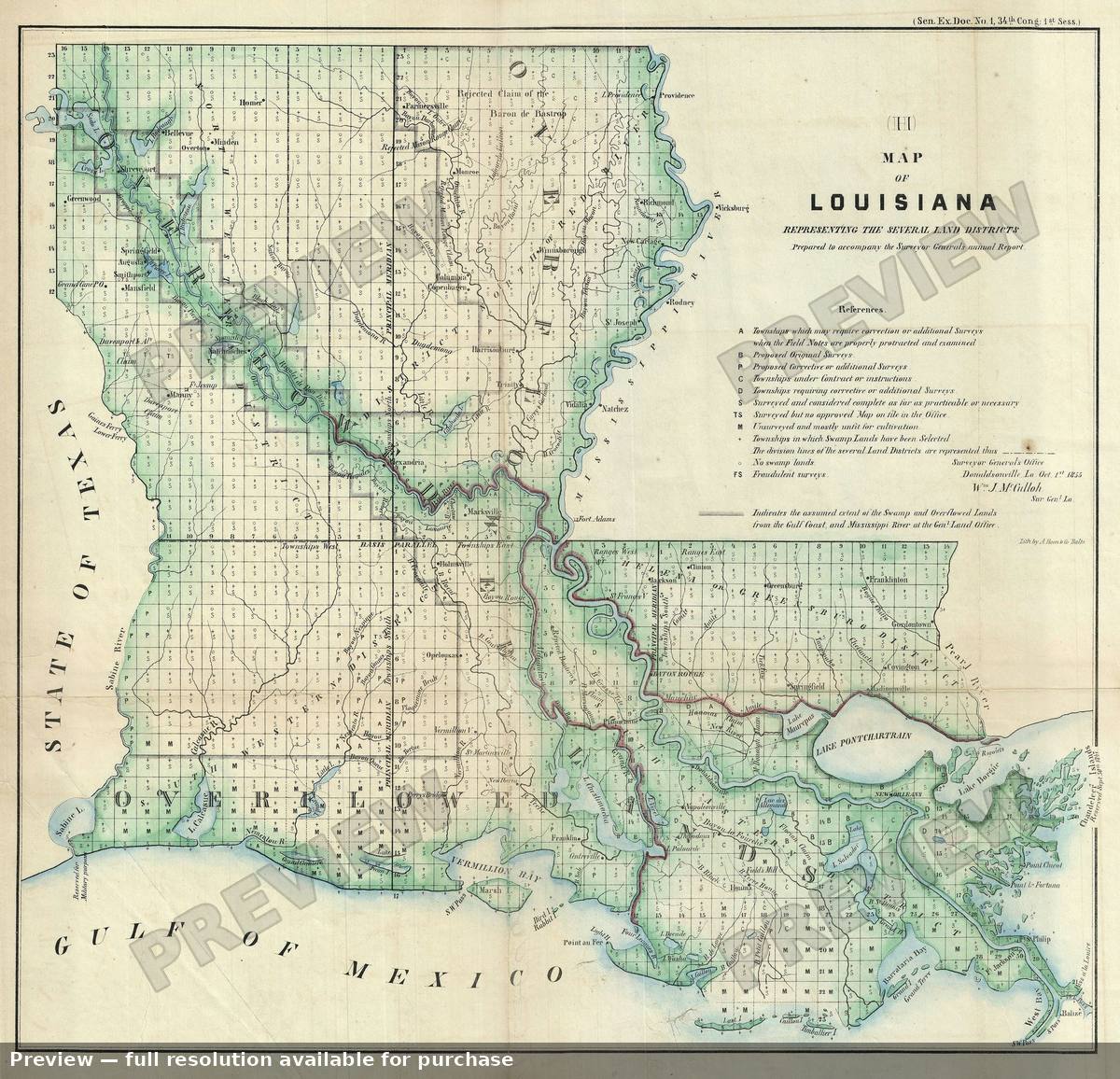 Antique map: Louisiana, 1855