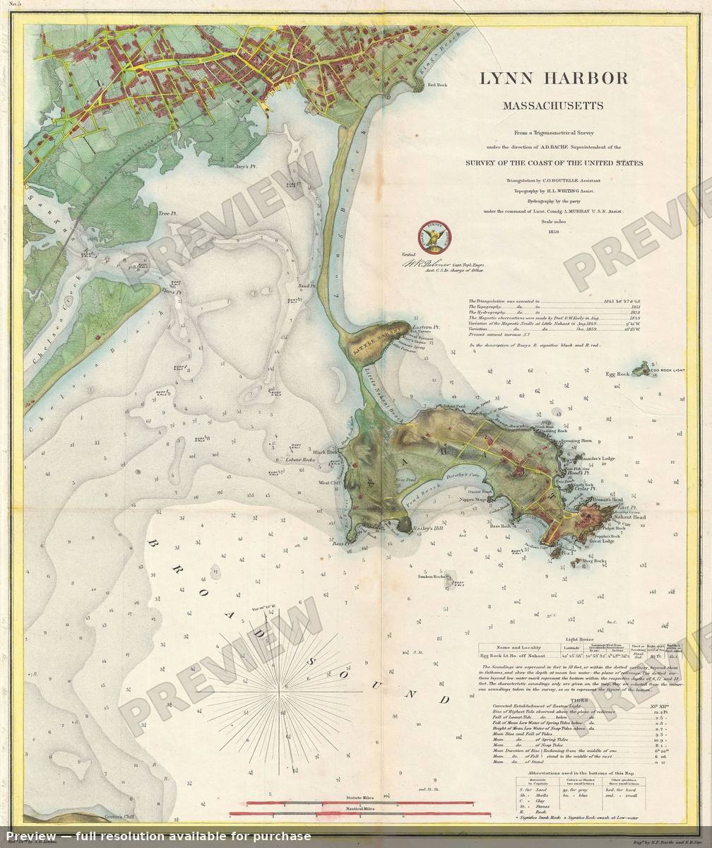 Antique map: Lynn Harbor, 1859, 1859
