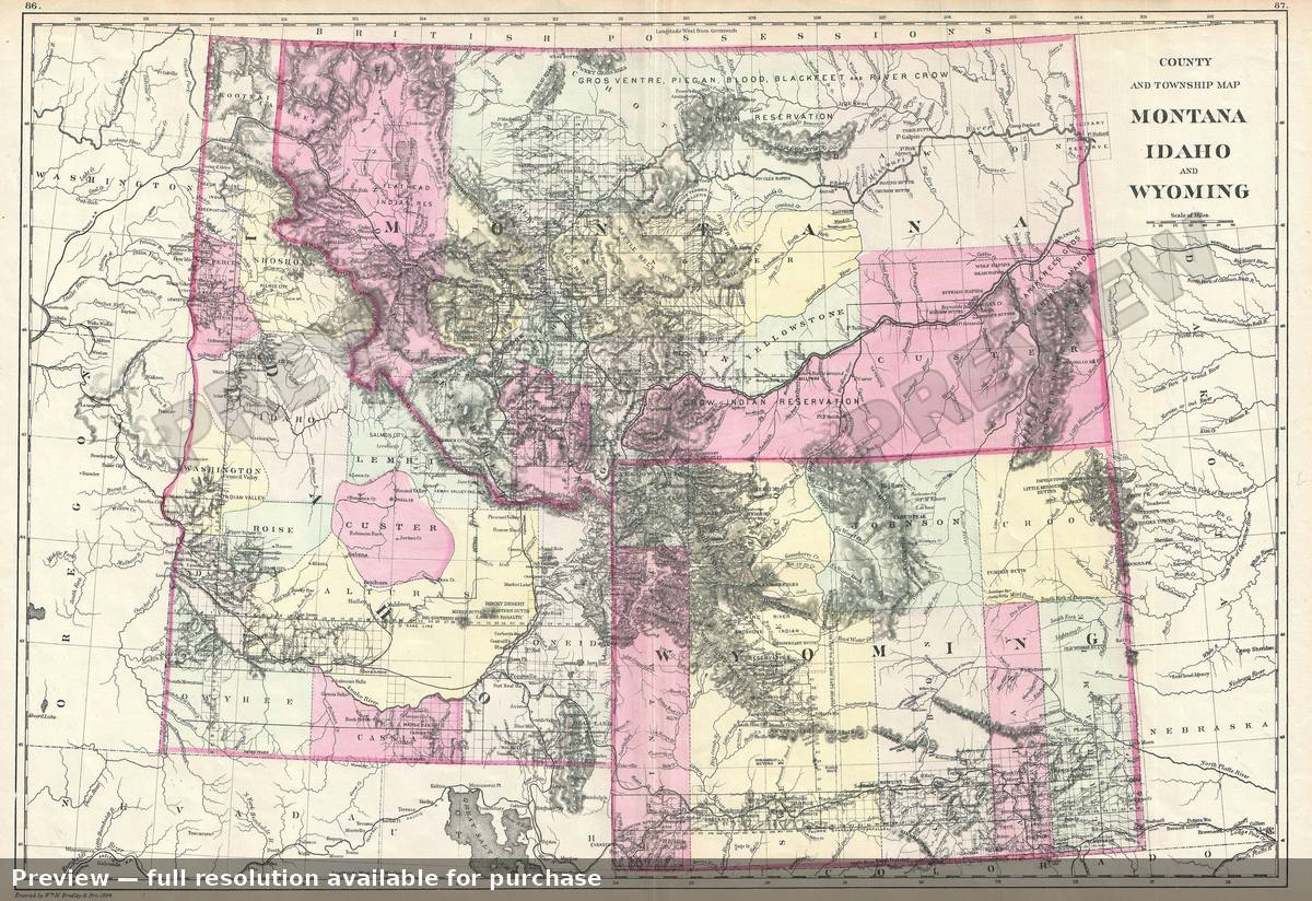 Antique map: MTWYID, 1884