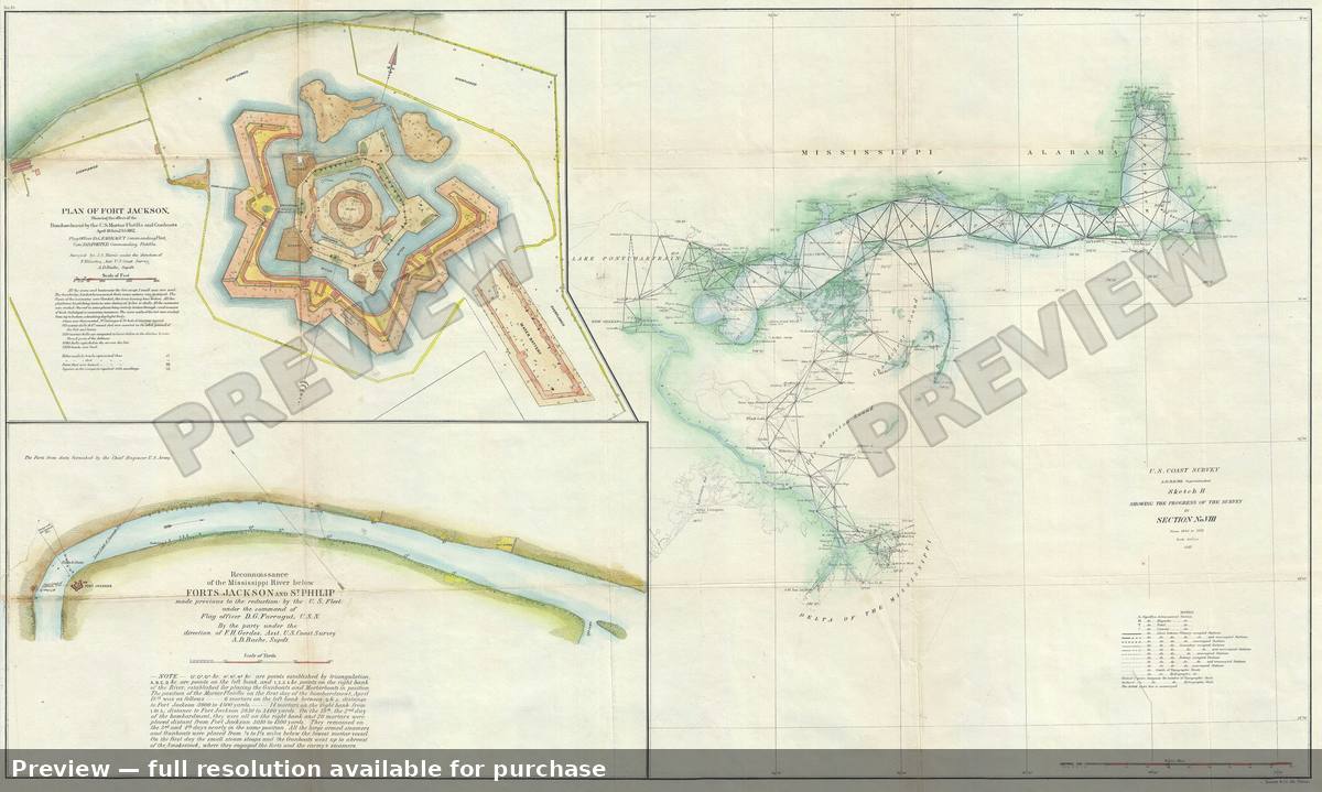 Antique map: Mississippi Delta Fort Jackson, 1862, 1862