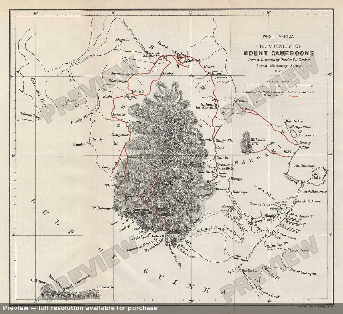 Antique map: Mount Cameroons, 1879