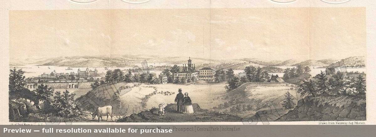 Antique map: Mount Prospect Central Park, 1860, 1860