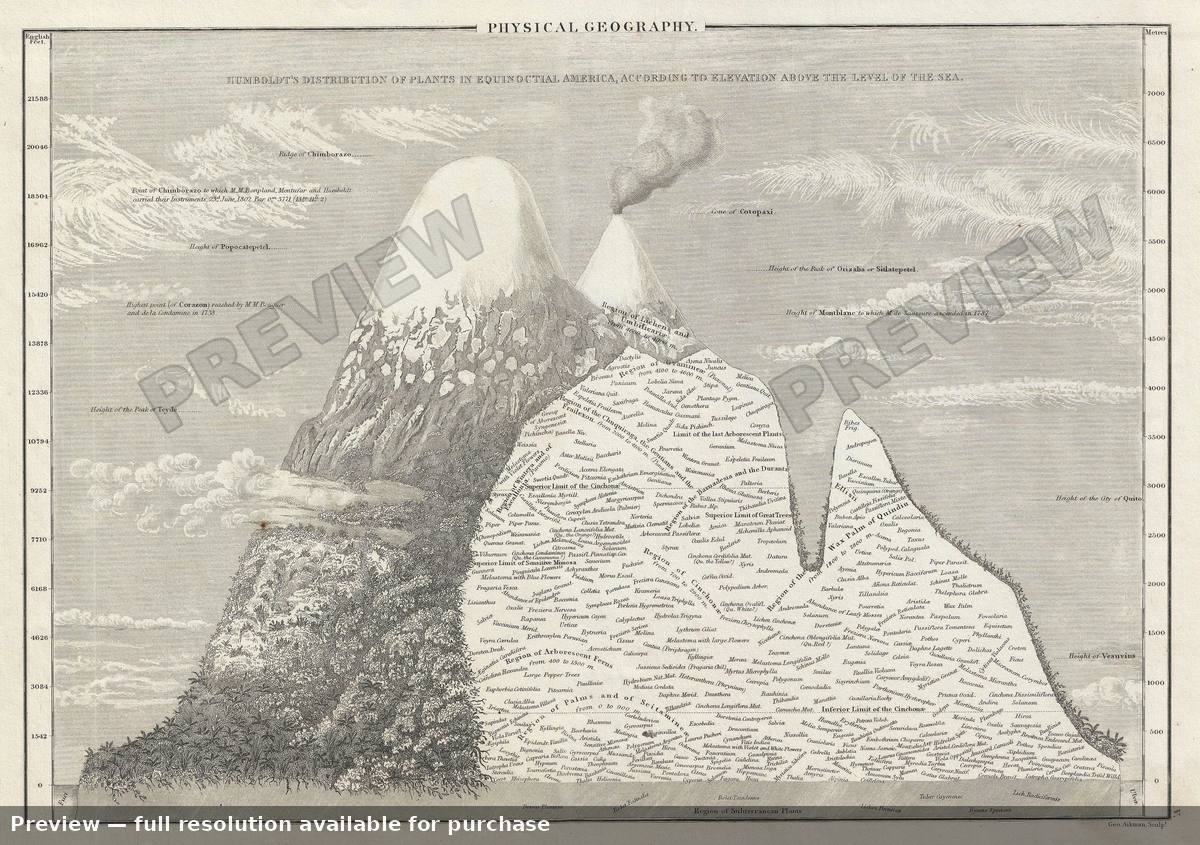 Antique map: Mountains Comp Humboldt, 1840, 1840