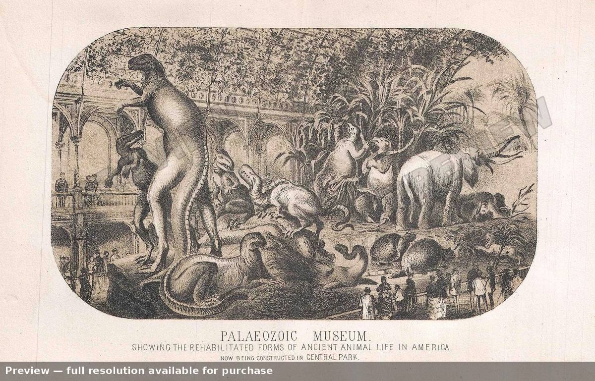 Antique map: Natural History Museum, 1860