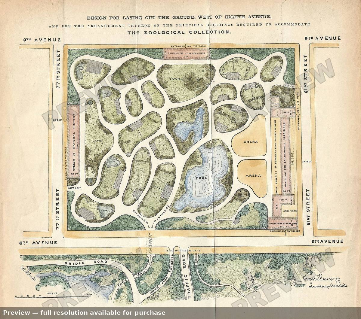 Antique map: Natural History NY, 1867, 1867
