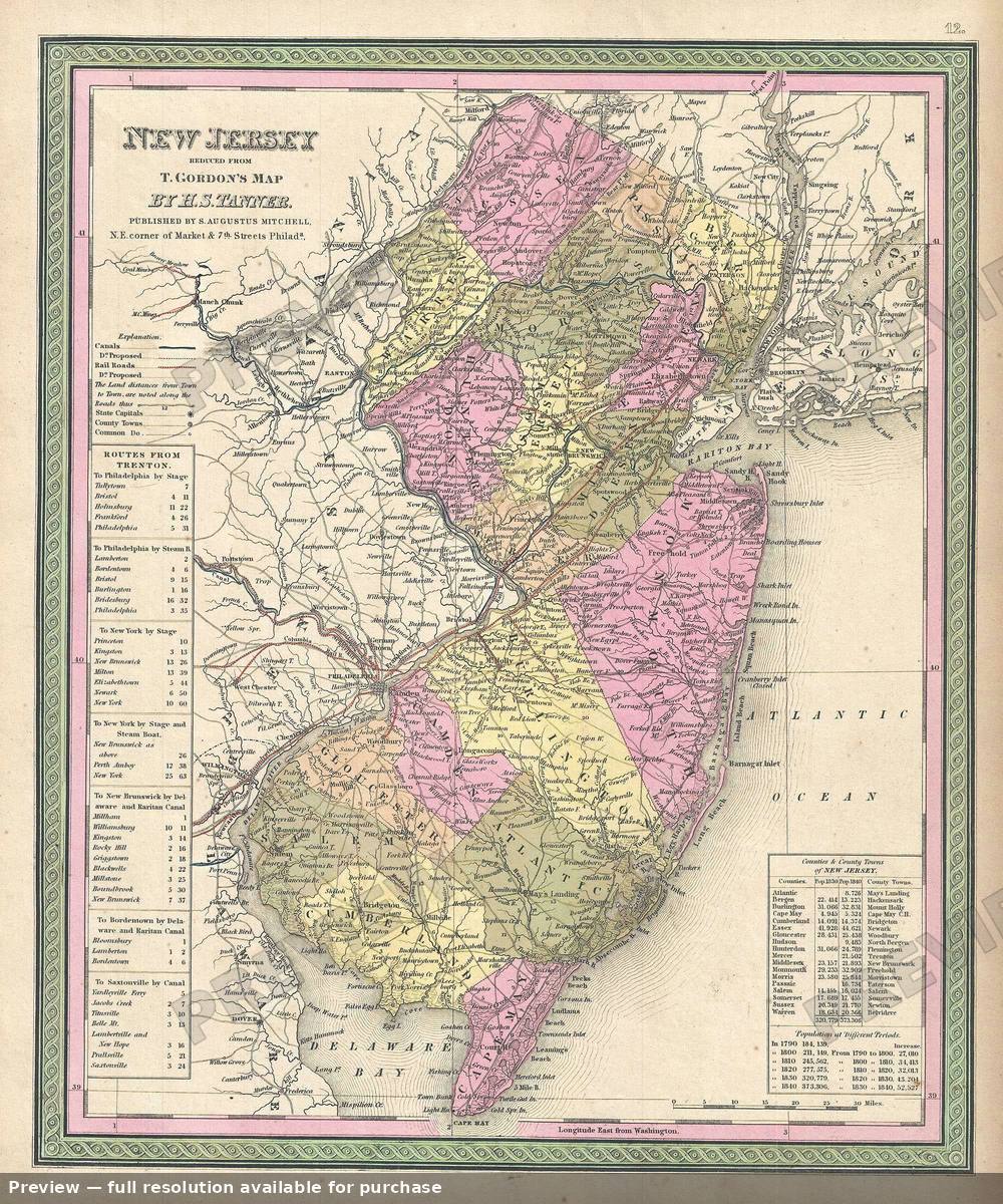 Antique map: New Jersey, 1849, 1849