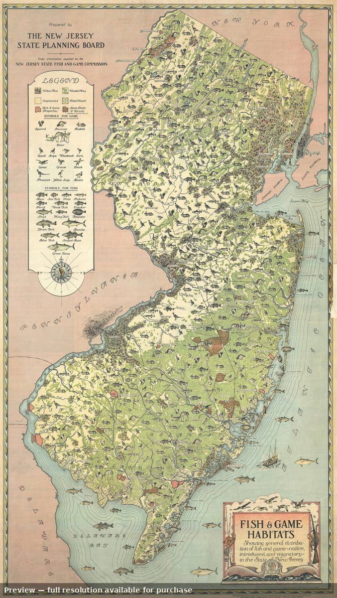 Antique map: New Jersey Fish Game, 1937, 1937